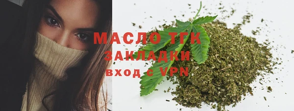 индика Горно-Алтайск