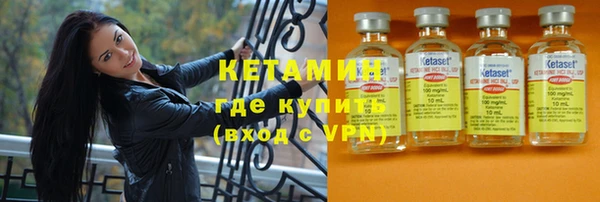 индика Горно-Алтайск