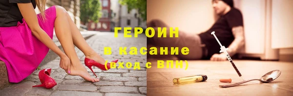 индика Горно-Алтайск