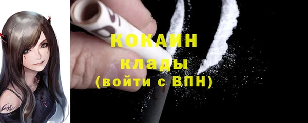 индика Горно-Алтайск