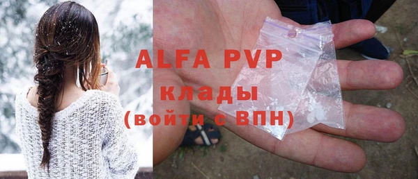 индика Горно-Алтайск