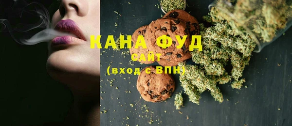 индика Горно-Алтайск