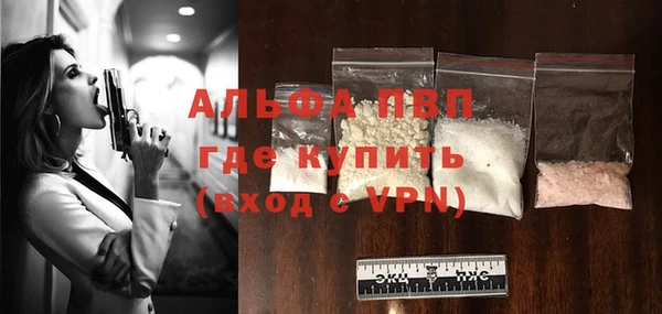 индика Горно-Алтайск