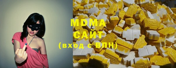 индика Горно-Алтайск