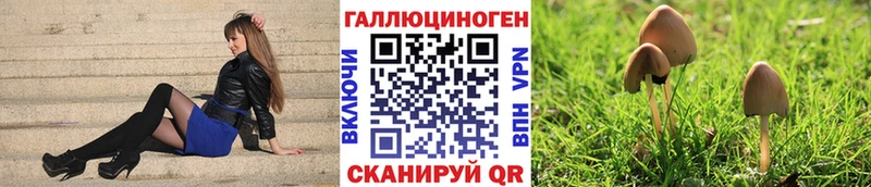 MEGA ССЫЛКА  Красноярск  Псилоцибиновые грибы Psilocybine cubensis 